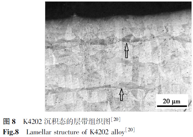 1672138415821272.jpg t8.jpg