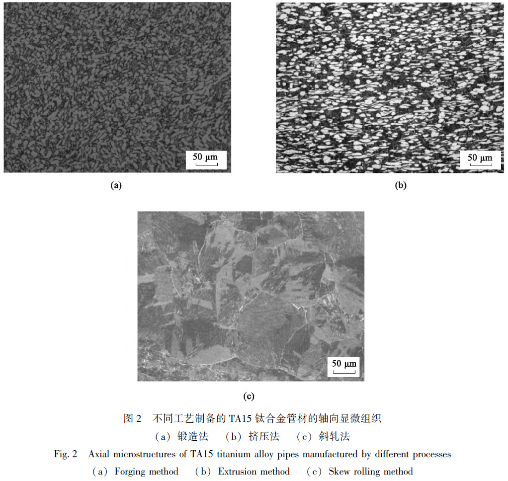 1678314860661836.jpg t2.jpg