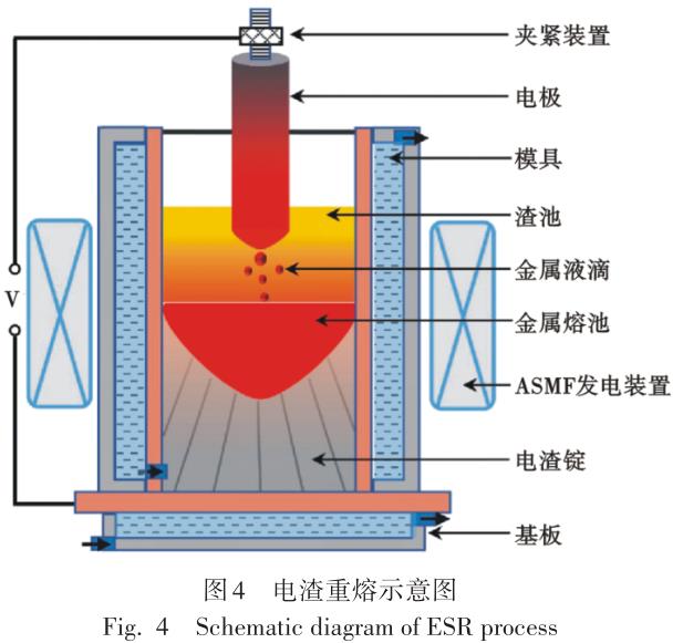 1699522508532149.jpg t4.jpg