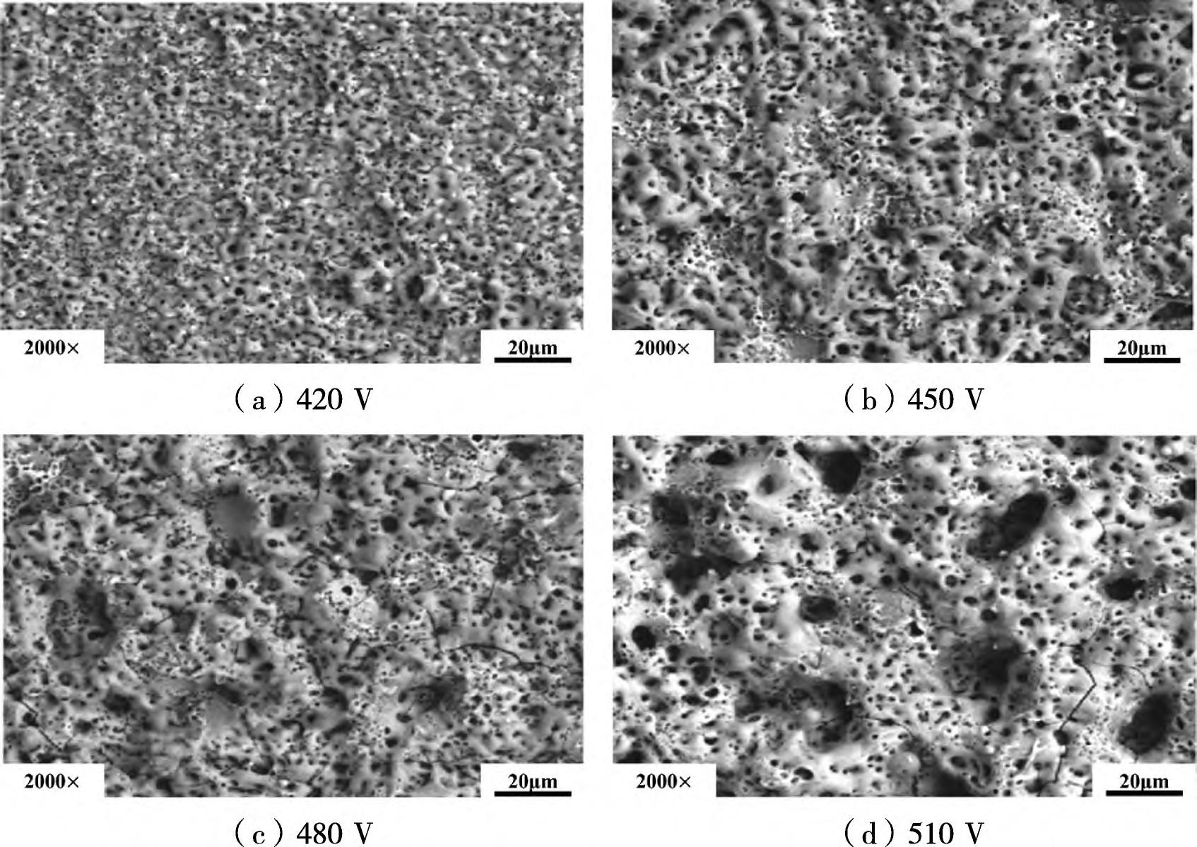 1712993040329585.jpg 4.jpg