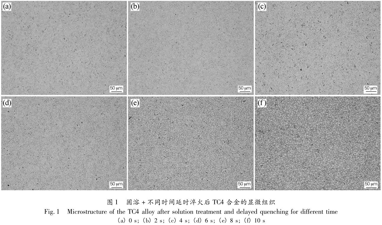 1712996734162995.jpg 360截圖16290611118118142.jpg