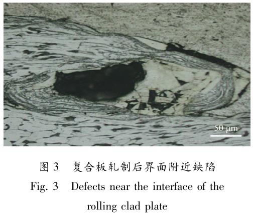 1705999505429523.jpg t3.jpg