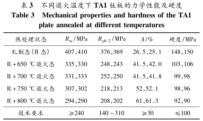 1721378532388683.jpg b3.jpg