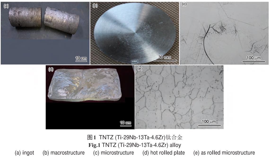 1721658822893129.jpg t1.jpg