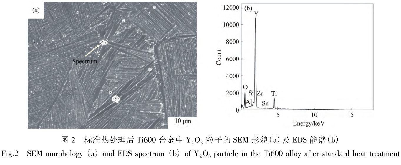 1727927702603937.jpg t2.jpg