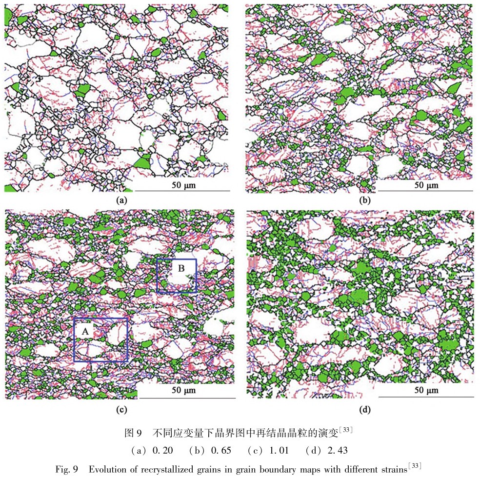 1729324371637916.jpg t9.jpg