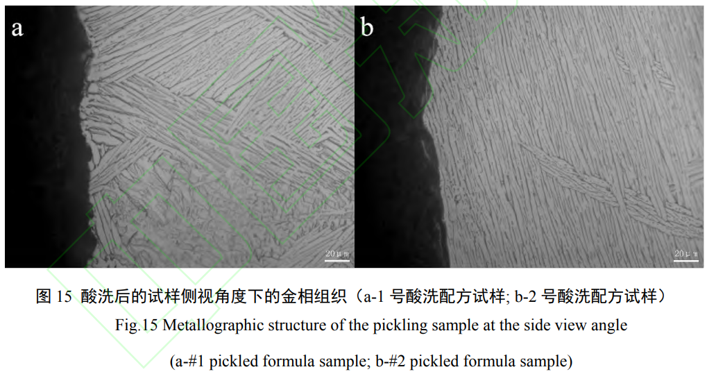 1732265353271273.png 15.png