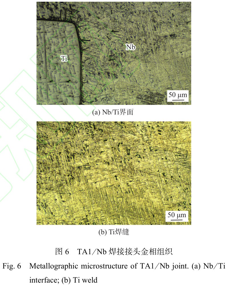 1735030035498840.jpg 6.jpg