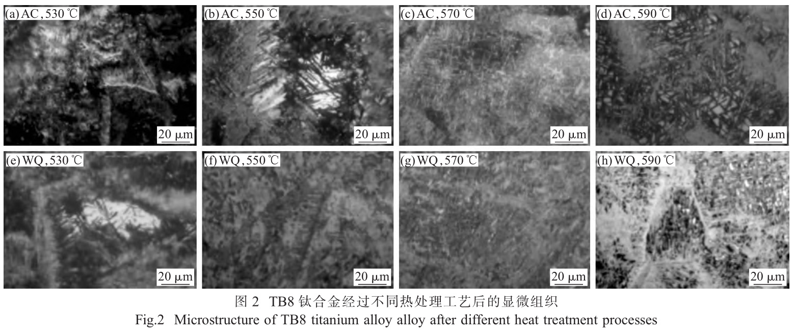 1735116757164749.jpg 2.jpg