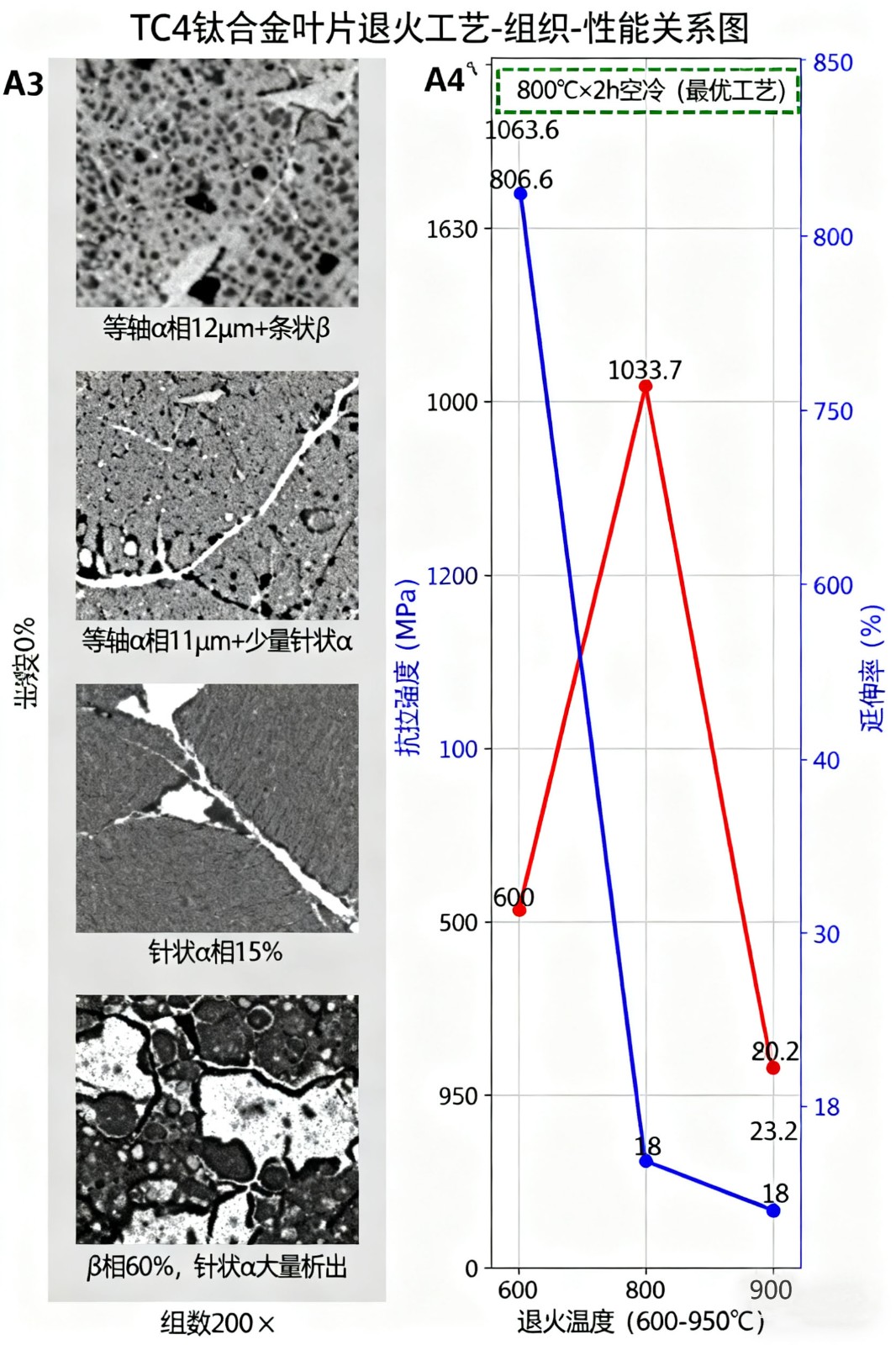 1760612436928051.jpg 7.jpg